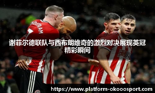 谢菲尔德联队与西布朗维奇的激烈对决展现英冠精彩瞬间